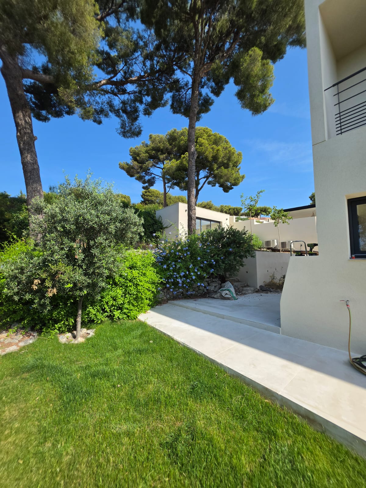 Le jardin paysagé, pelouse, olivier et massifs
